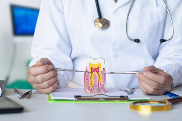 Best Root Canal Emergency Dentist  in Perry, MI